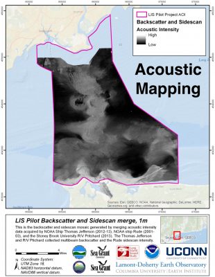 Map of the backscatter (bottom hardness) in the Phase I area