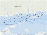 SEABOSS bottom video locations from 2017 and 2018